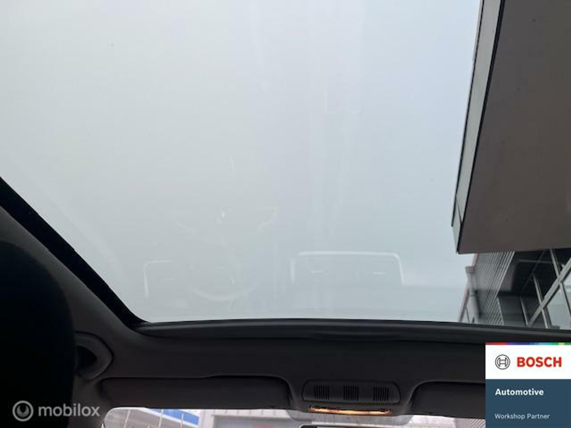 42082252-17.jpg